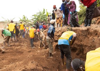 Recordando el genocidio de Ruanda 30 años después: ¿cómo ocurrió?  |  Noticias de genocidio