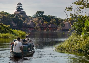 Selva amazónica: infórmese antes de ir