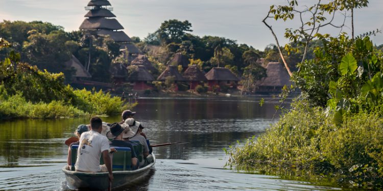 Selva amazónica: infórmese antes de ir