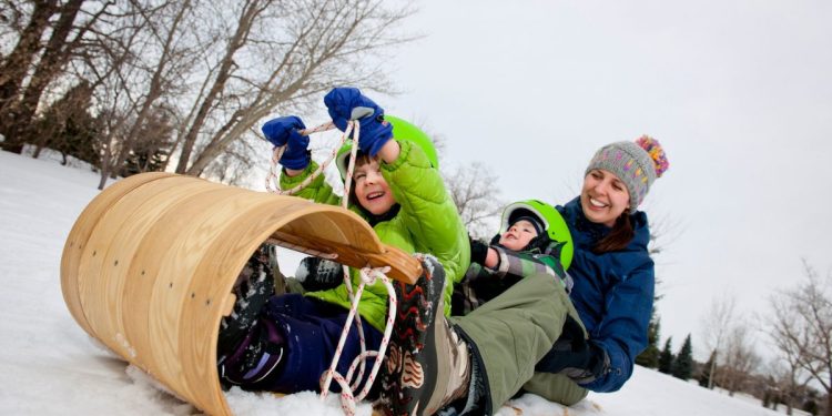 Guía para trineos y trineos en Edmonton