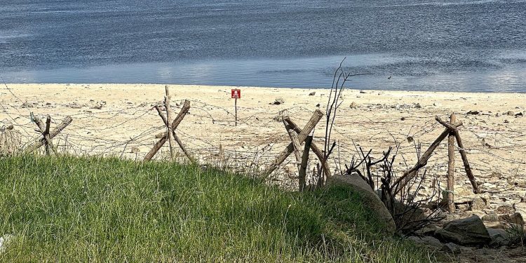 Ocupación vertical |  Eurozine