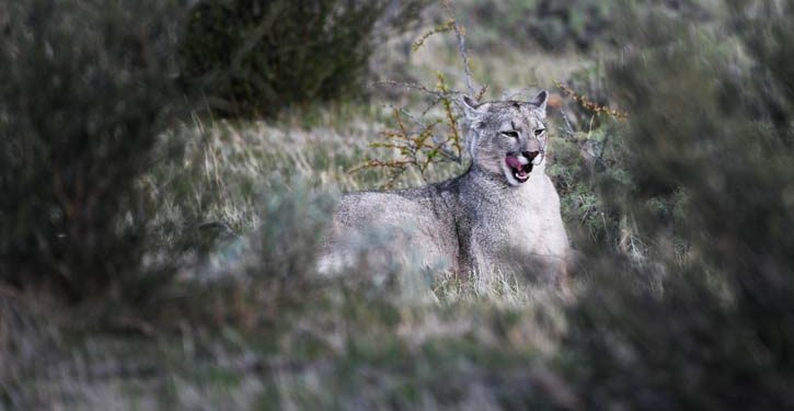 Descubriendo Torres del Piane con Tierra Patagonia