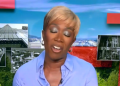 Joy Reid de MSNBC dice que hay algo «maravillosamente poético» en que los funcionarios de DEI procesen a Trump