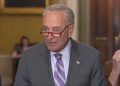 ¿QUE QUÉ?  Chuck Schumer dice que 'el juicio político nunca debería utilizarse para resolver desacuerdos políticos' (VIDEO) |  El experto en puerta de enlace