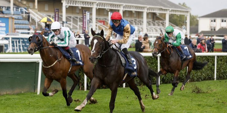 Newbury's Greenham Stakes: guía caballo por caballo para la carrera principal del sábado, en vivo por Sky Sports Racing |  Noticias de carreras