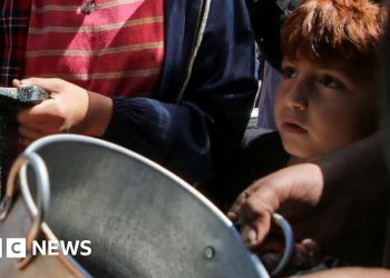 Guerra de Gaza: la ONU espera un nuevo cruce de ayuda en Erez occidental