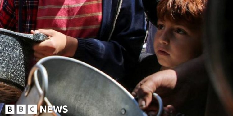 Guerra de Gaza: la ONU espera un nuevo cruce de ayuda en Erez occidental