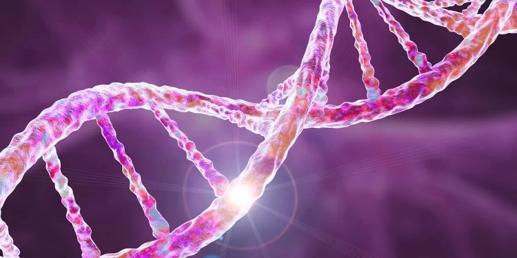 El riesgo de Alzheimer y el gen APOE4