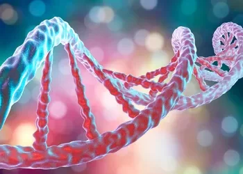 Un estilo de vida saludable puede añadir años a la vida, a pesar de los genes «malos»