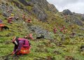 Actualización de Proyectos Comunitarios – Andean Trails