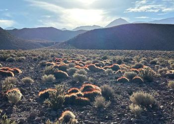 Reserva de Conservación Puritama Explora Atacama Chile