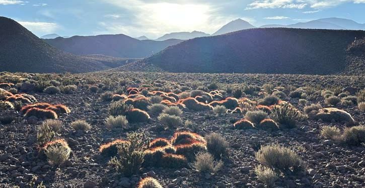 Reserva de Conservación Puritama Explora Atacama Chile