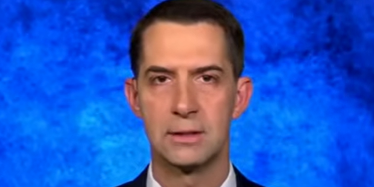Tom Cotton sobre cómo afrontar las protestas: un enfoque diferente