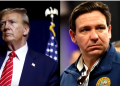 Trump elogia la «gran reunión» con Ron DeSantis y dice que «trabajarán juntos para hacer que Estados Unidos vuelva a ser grande»