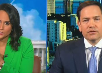 Marco Rubio se derrite cuando sus mentiras electorales son desacreditadas en Meet The Press