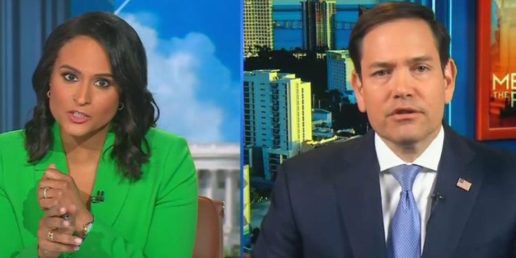 Marco Rubio se derrite cuando sus mentiras electorales son desacreditadas en Meet The Press