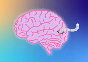 Cómo evitar el envenenamiento por mercurio y gusanos devoradores de cerebros