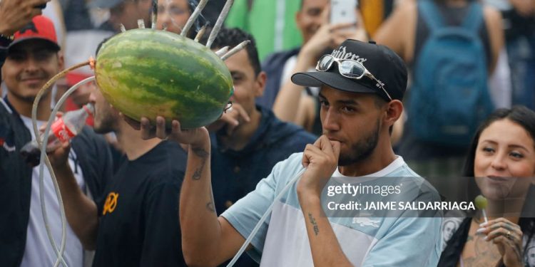 Noticias de la industria del cannabis esta semana