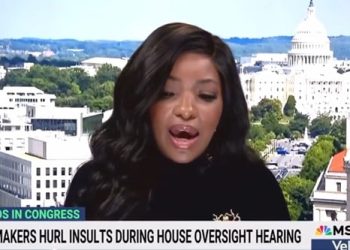 La representante idiota narcisista Jasmine Crockett se burla de los partidarios de Trump: “SIEMPRE seré más inteligente que tú” (VIDEO) |  El experto en puerta de enlace