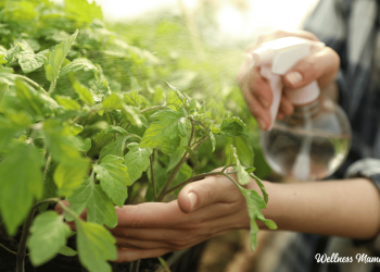 Pesticidas naturales para un jardín orgánico