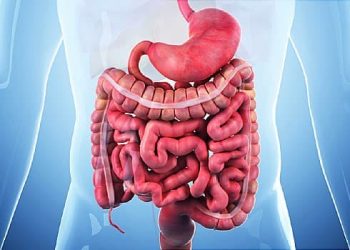 Las perspectivas para el alivio de la enfermedad de Crohn mejoran con nuevos avances