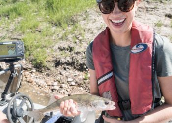 Los mejores lugares para ir a pescar en Edmonton