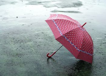 Fisker se derrumbó bajo el peso de las promesas de su fundador