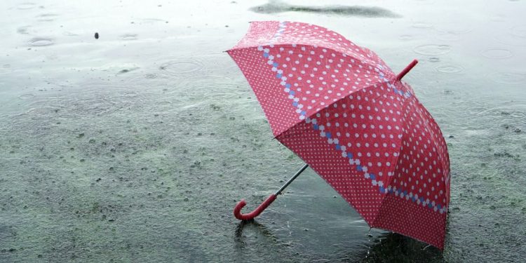 Fisker se derrumbó bajo el peso de las promesas de su fundador