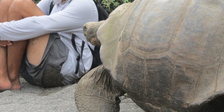 Ecoturismo en tus vacaciones de aventura en Galápagos