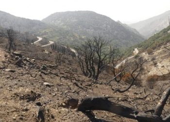 Los incendios forestales vuelven a amenazar a Grecia