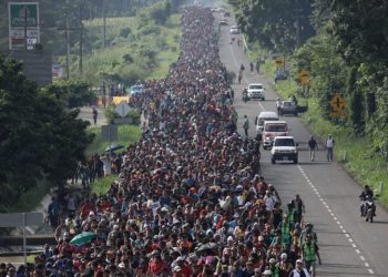 Varios estados, incluido Arizona, permiten que los ilegales voten en las elecciones presidenciales sin necesidad de presentar prueba de ciudadanía: Elon Musk opina |  El experto en puerta de enlace