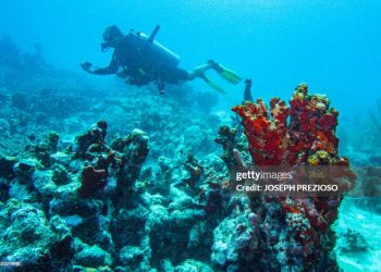 Se alcanza un nuevo hito en la investigación genética