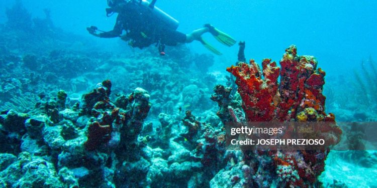 Se alcanza un nuevo hito en la investigación genética