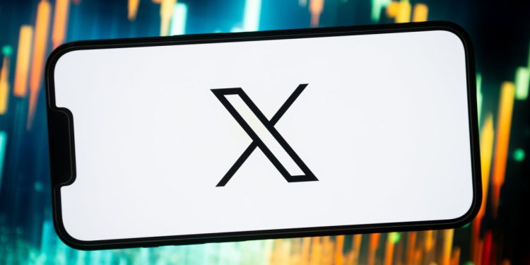 Los ingresos de X de Elon Musk se han desplomado oficialmente, según muestran nuevos documentos