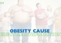La obesidad causa disfunción eréctil.