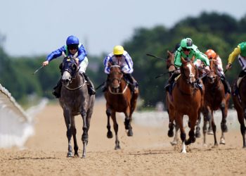 Hoy en Sky Sports Racing: primer día del festival Northumberland Plate en Newcastle |  Noticias de carreras