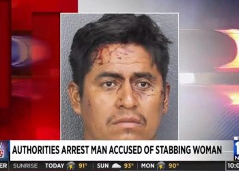 TERROR: Un inmigrante ilegal de Biden ataca a una mujer de Florida y la apuñala repetidamente con un machete | The Gateway Pundit