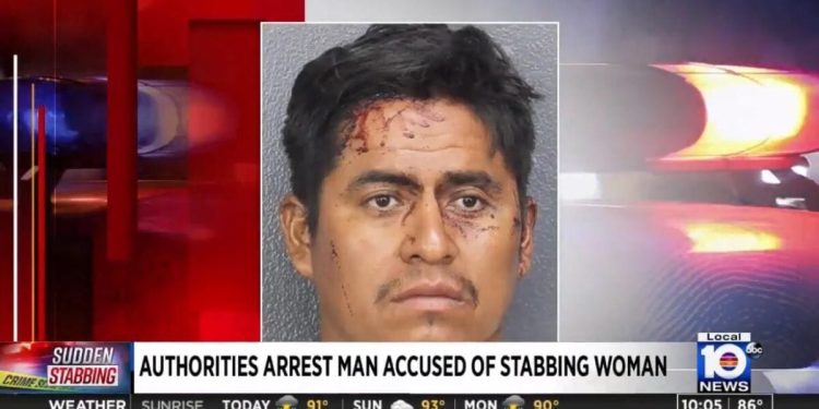 TERROR: Un inmigrante ilegal de Biden ataca a una mujer de Florida y la apuñala repetidamente con un machete | The Gateway Pundit