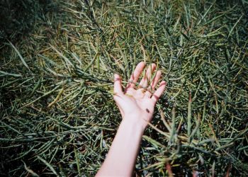 Something happens, somewhere | Eurozine