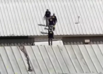 ABLECHILD: La afirmación inicial del FBI de que «no hay problemas de salud mental» parece ser errónea | The Gateway Pundit