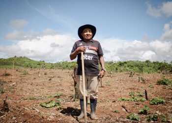 Banco de semillas liderado por indígenas protege la biodiversidad de la Amazonía – Latin America News Dispatch