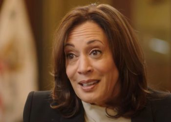 SU TURNO: Los demócratas cierran filas mientras los presidentes de los 50 estados respaldan a Kamala Harris | The Gateway Pundit