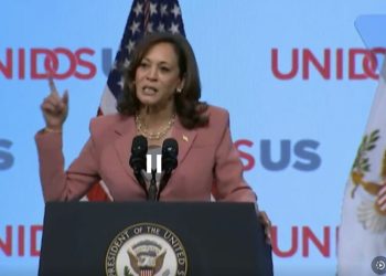 Demócratas enérgicos y pequeños donantes recaudan 27,5 millones de dólares para Kamala Harris en 5 horas