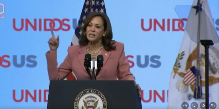 Demócratas enérgicos y pequeños donantes recaudan 27,5 millones de dólares para Kamala Harris en 5 horas