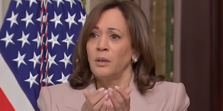 Kamala Harris ya ha sido objeto de artículos de juicio político por la crisis fronteriza