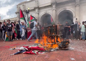 Polémica protesta: partidarios de Palestina sustituyen banderas estadounidenses