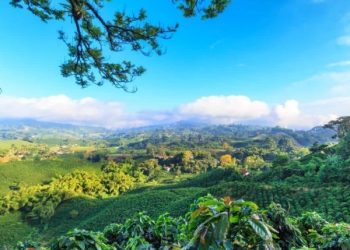 Más viajeros internacionales visitaron Colombia