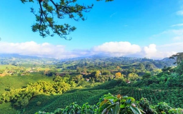 Más viajeros internacionales visitaron Colombia