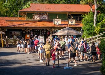 Jungle Cruise cierra por proyecto posterior al verano