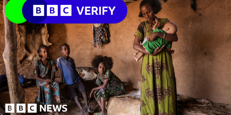 Dos millones de personas corren el riesgo de morir de hambre en Tigray, advierte un funcionario humanitario
